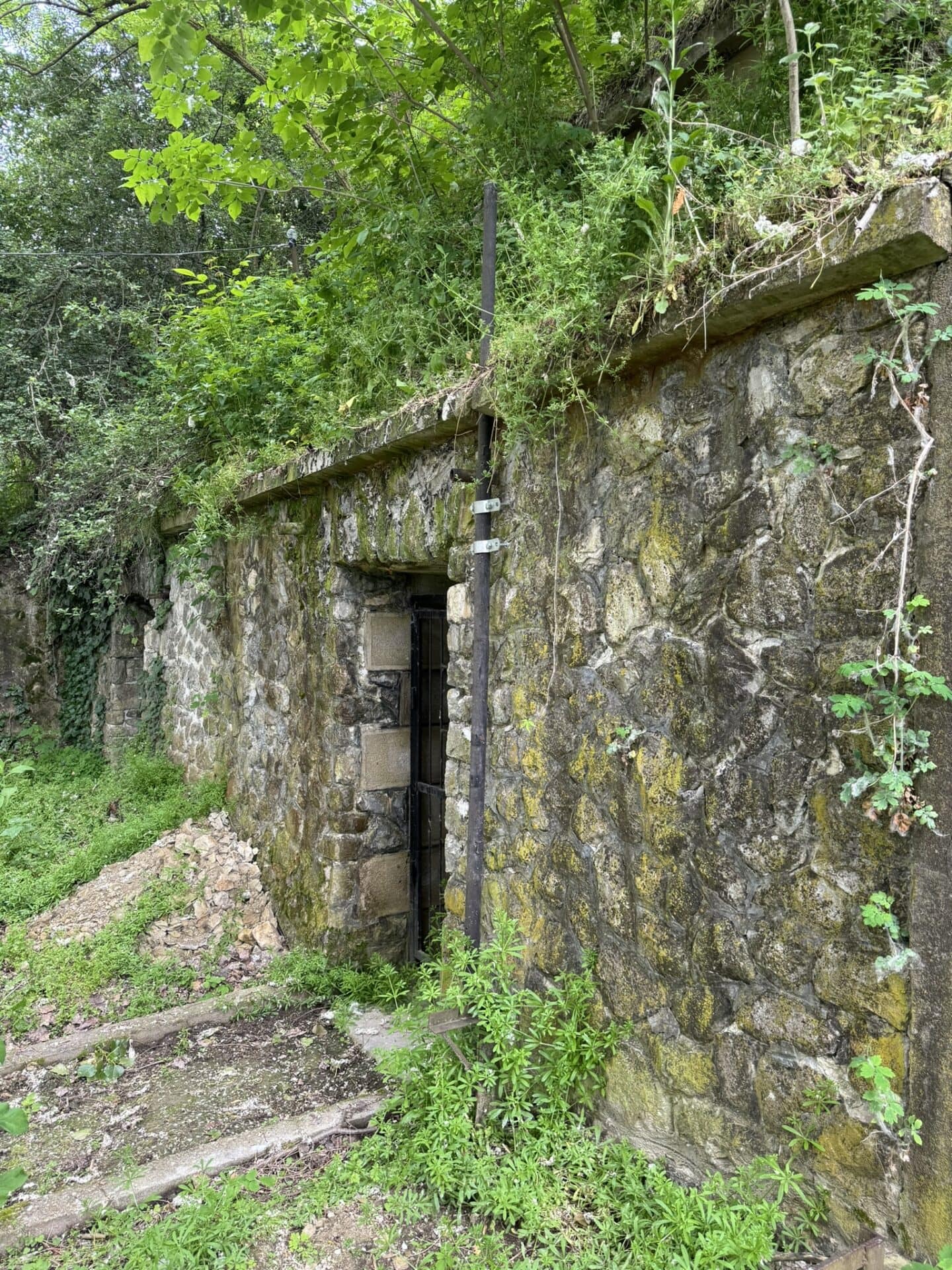 a természet csodái